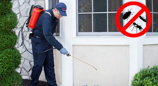 Akçaabat Dezenfeksiyon böcek ilaçlama ve haşere kontrolü — ilaclama-tr.com